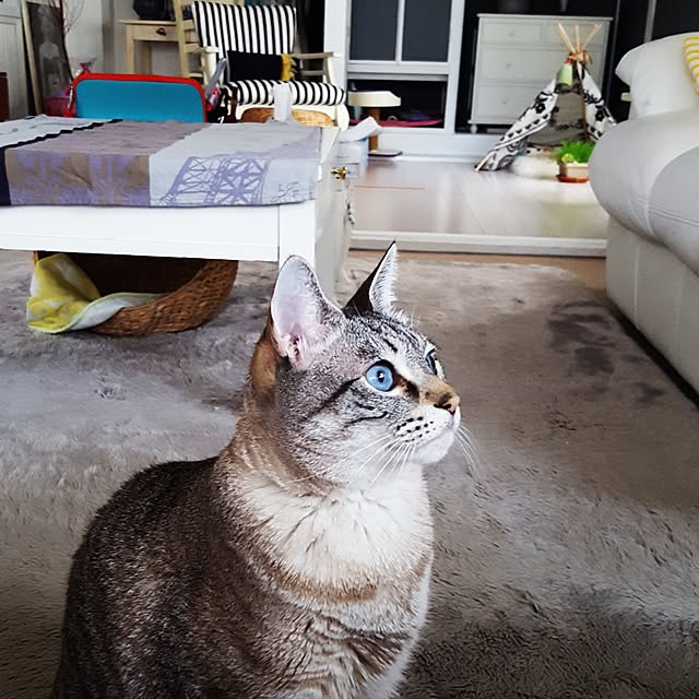 neoさんの実例写真