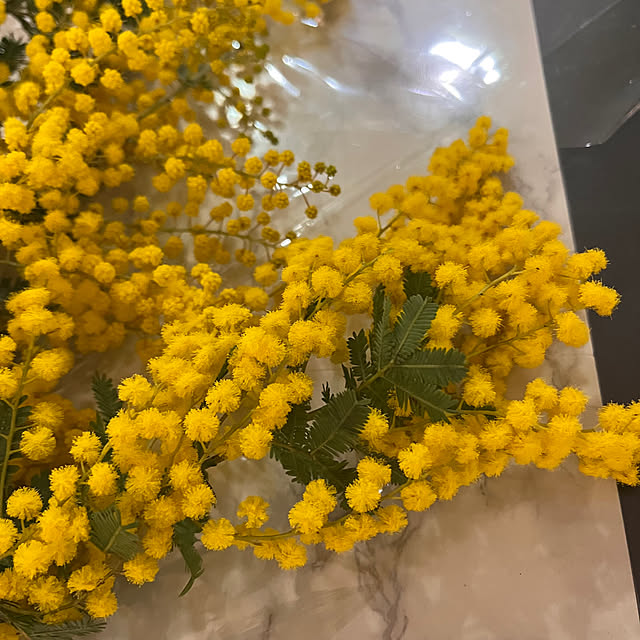 rikuerinka86さんの部屋