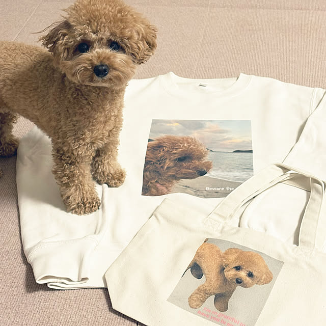 kawauso15さんの実例写真