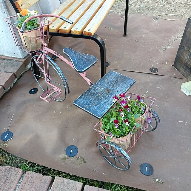 tamachan235さんの実例写真