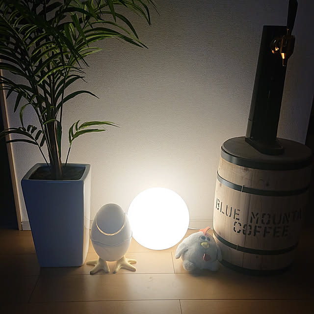 Junさんの実例写真