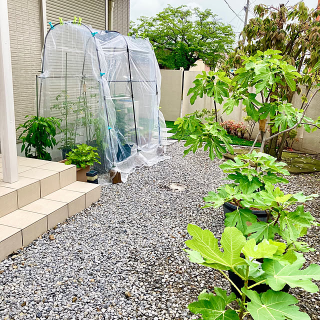 An50さんの部屋