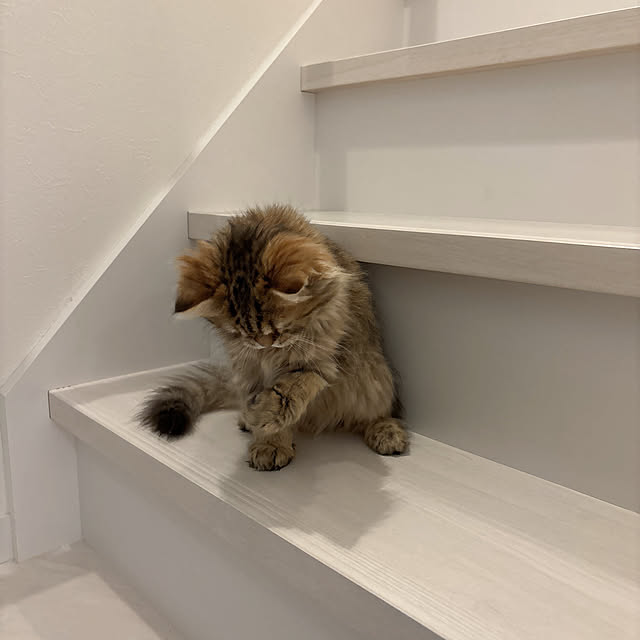 miyu39さんの部屋