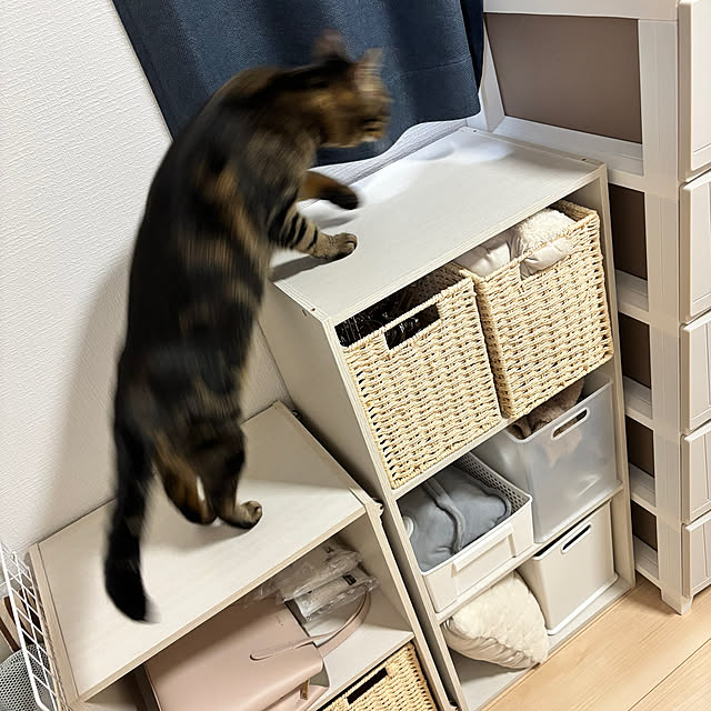 Shosaさんの部屋