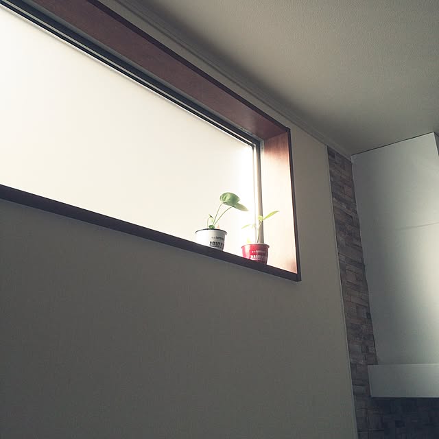 リビング/細長窓/観葉植物/ダイソーのインテリア実例 - 2015-07-25 06:44:27