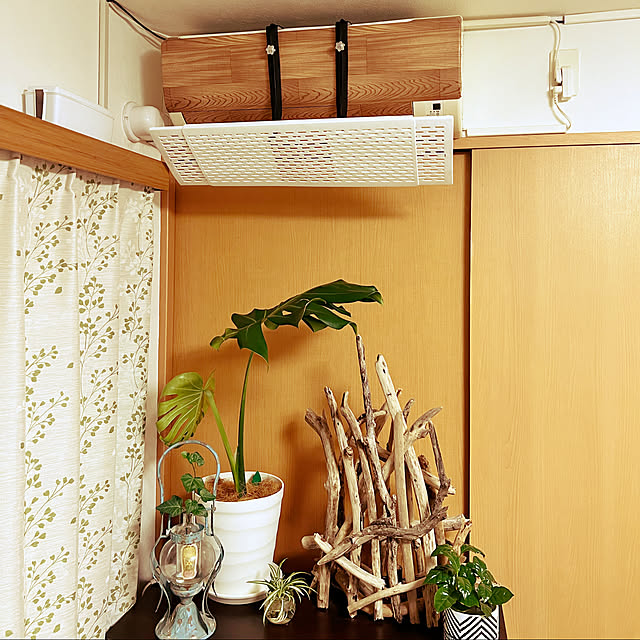 gennshinomanさんの実例写真