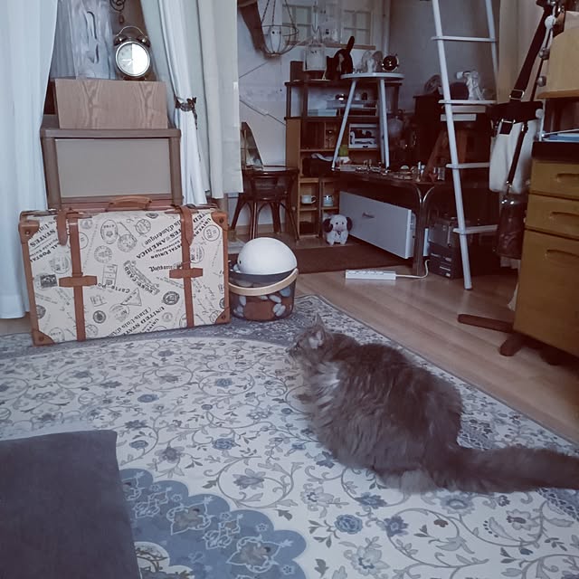 Miuさんの実例写真