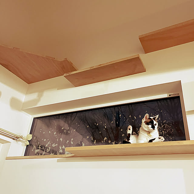 ibumamaさんの部屋