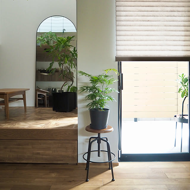 Sakkinさんの部屋