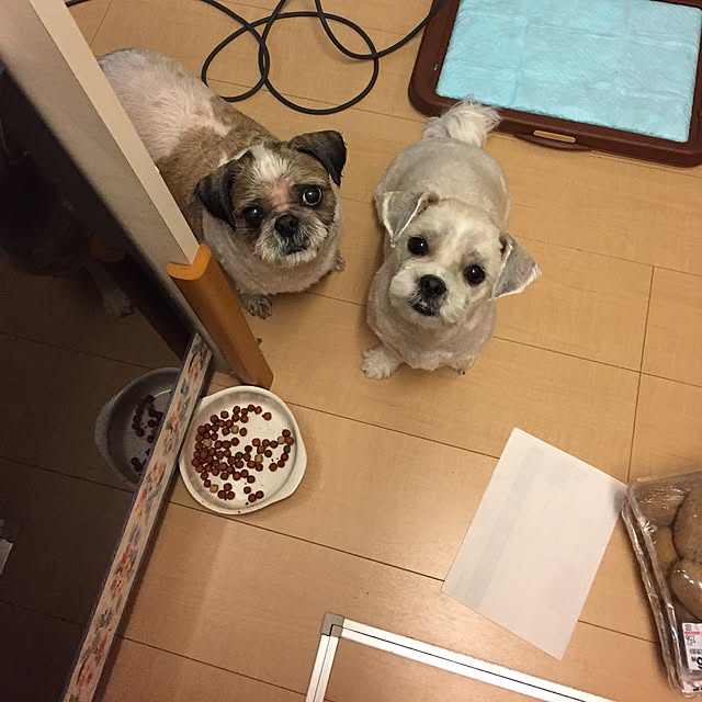 emiさんの実例写真