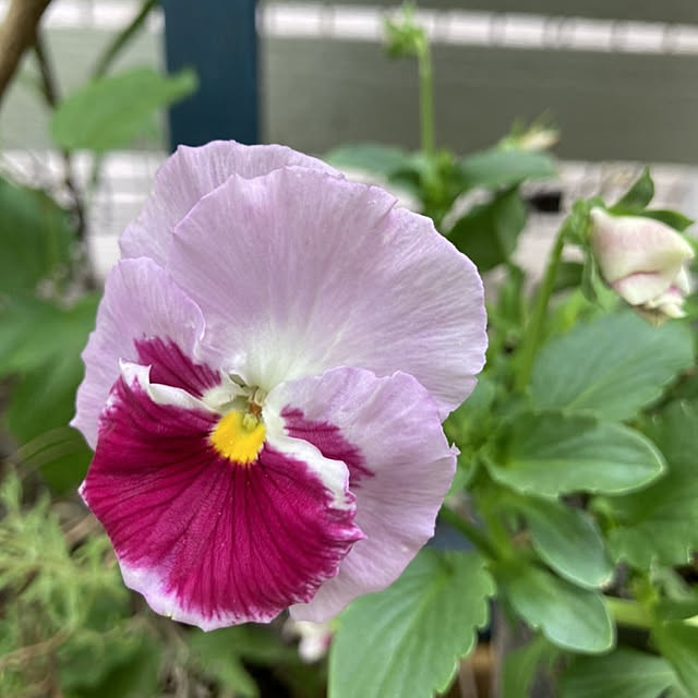 min_nimさんの実例写真