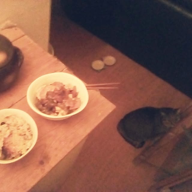 catloveさんの部屋
