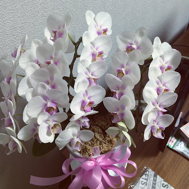 -non-さんの実例写真