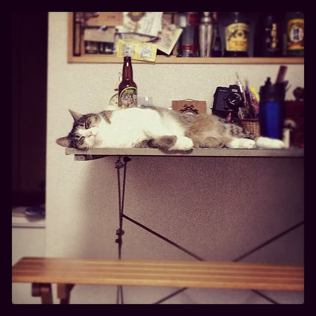 nnmさんの実例写真