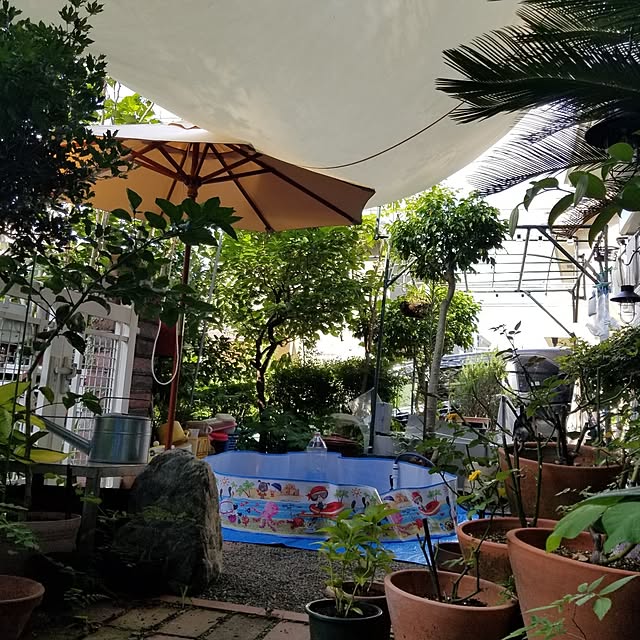 midoriさんの部屋