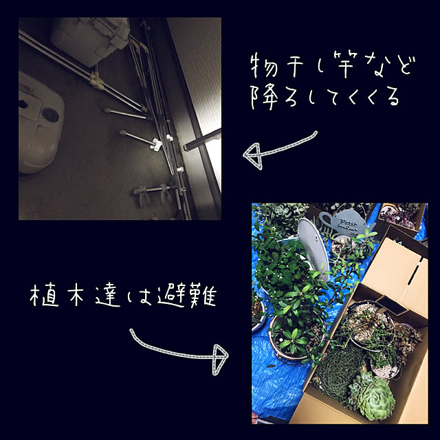 mizuさんの実例写真