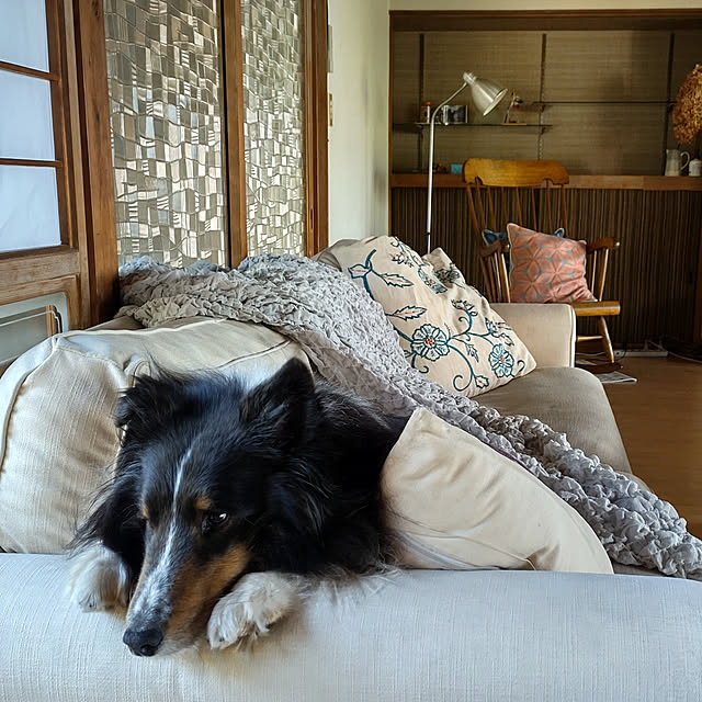 --rnrmm--さんの実例写真