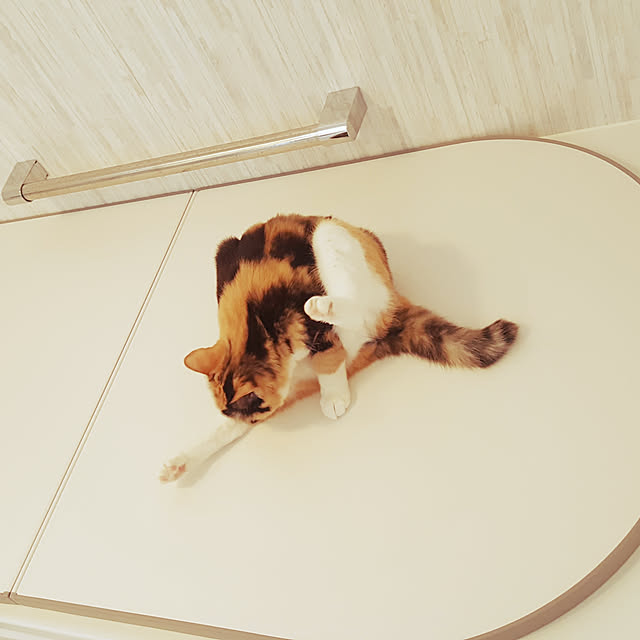 risaさんの実例写真