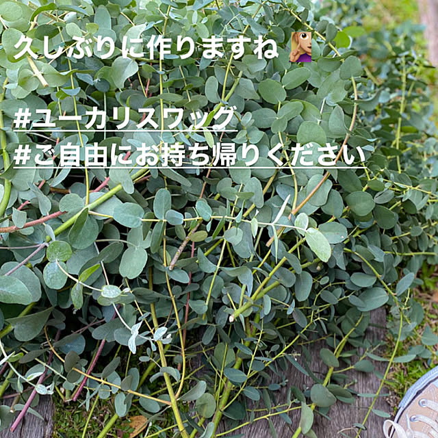 55sweetmyさんの実例写真