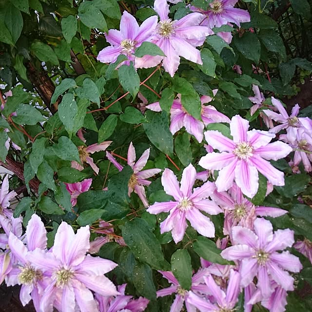 mimi828さんの実例写真