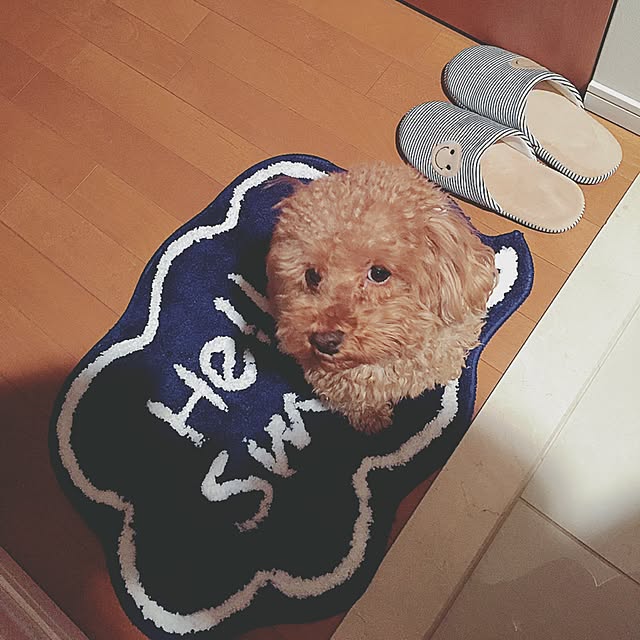 rutanmamaさんの実例写真
