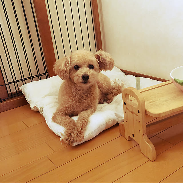 trinity0817さんの実例写真