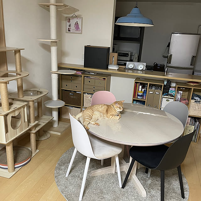 chiiさんの部屋