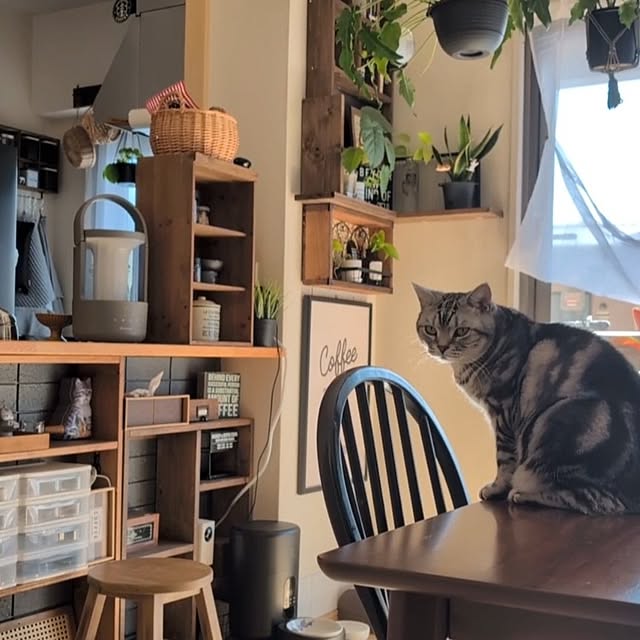 lovepeaceさんの実例写真