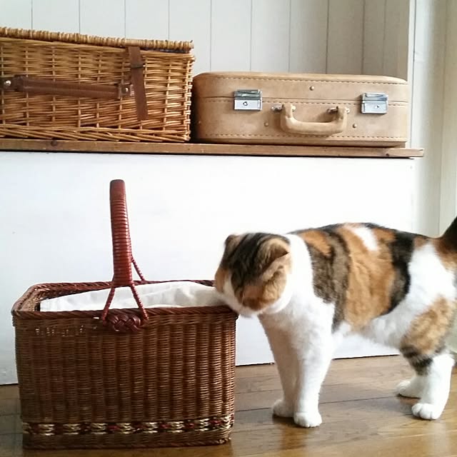mikiさんの実例写真