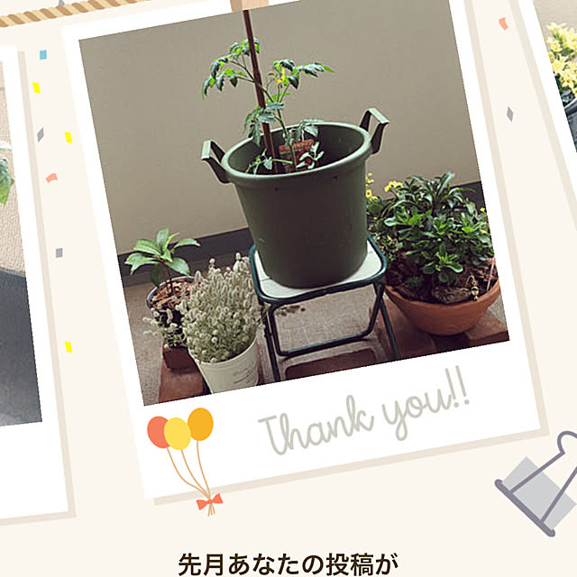 kazuさんの実例写真