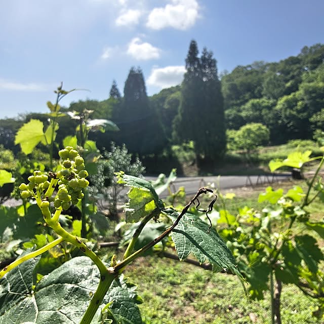 Rubiconさんの部屋