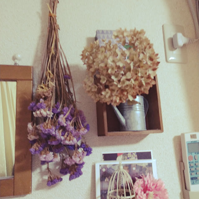 yukidarumama0110さんの実例写真