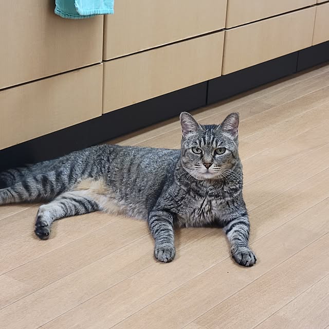 Mamichangeさんの部屋