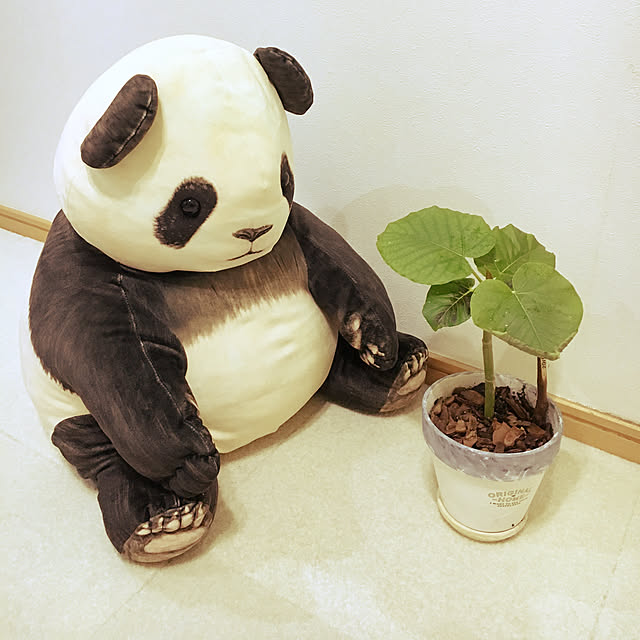 cocoさんの実例写真