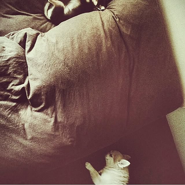 88さんの実例写真