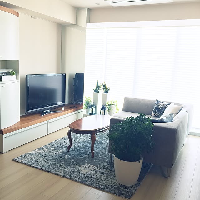 部屋全体/観葉植物/ベストショット/北欧/ナチュラル...などのインテリア実例 - 2016-04-12 12:22:55
