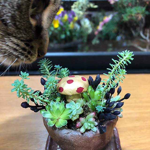 lapoさんの実例写真