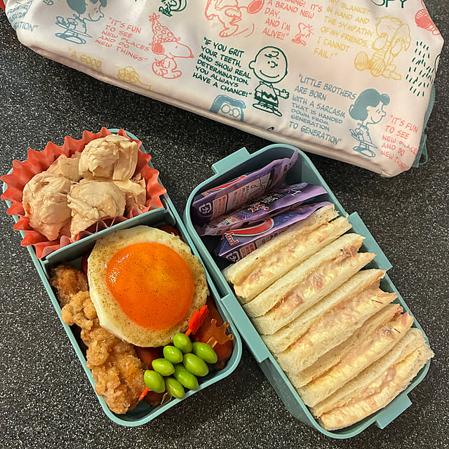 koshiregutyoさんの部屋