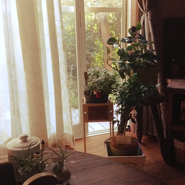 chabo0395さんの実例写真