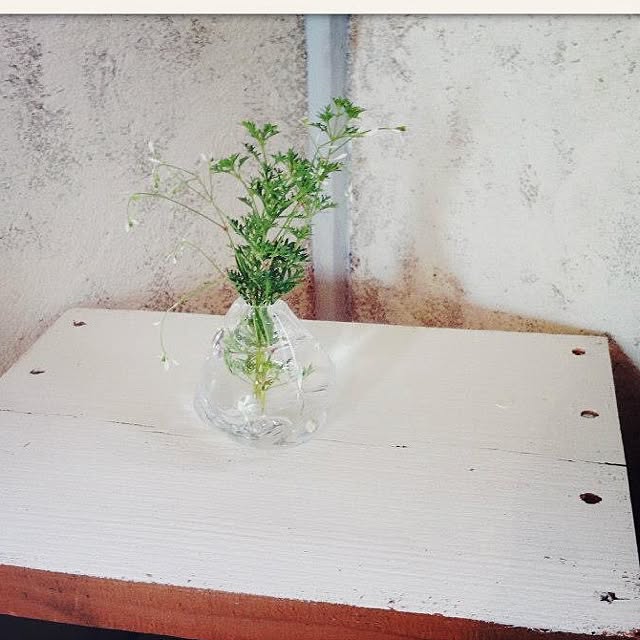 yuraさんの実例写真