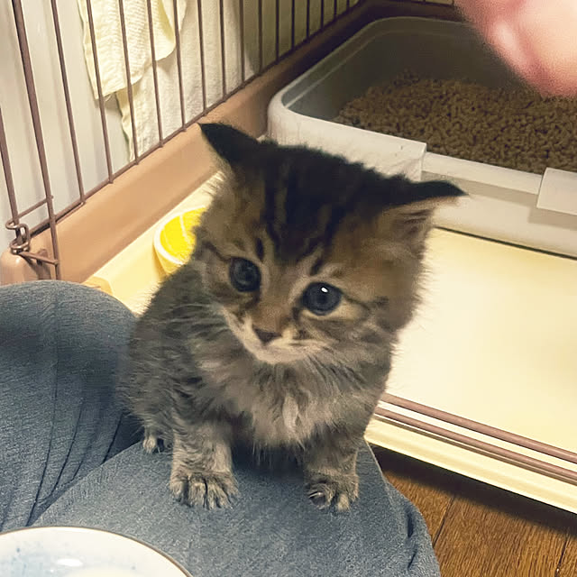 Mさんの部屋