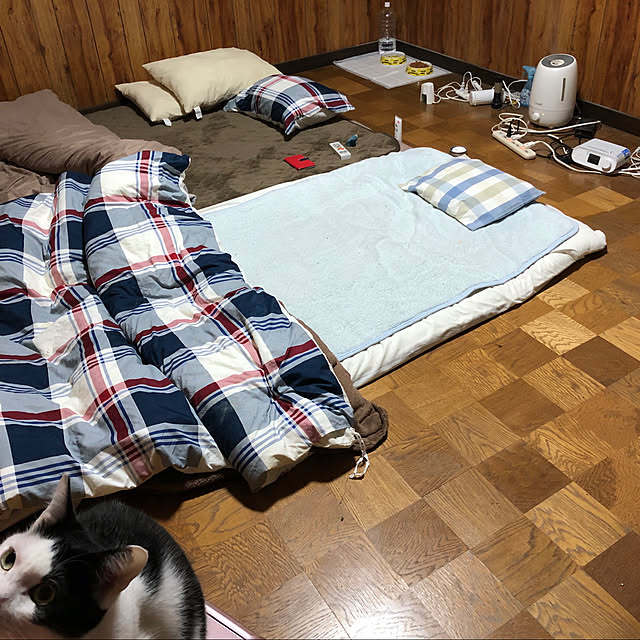 himawari123さんの実例写真