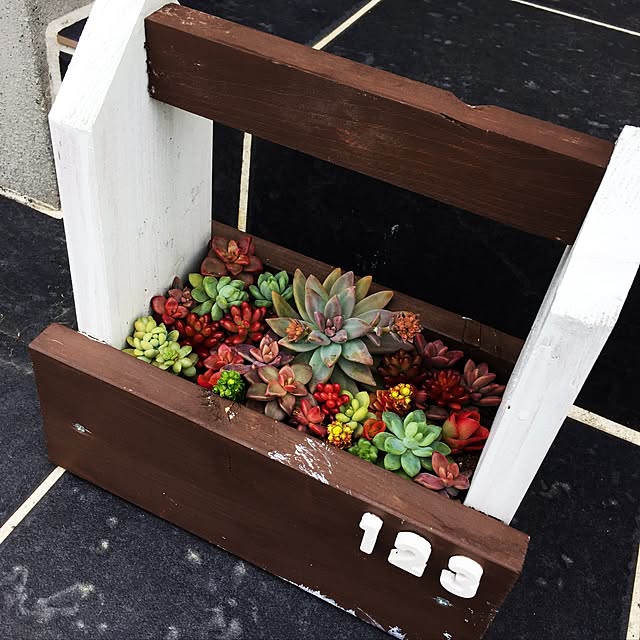 玄関/入り口/DIY/木箱/多肉植物のインテリア実例 - 2017-03-14 12:32:02