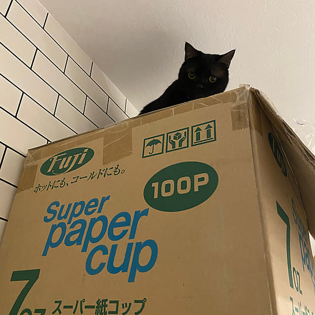 okapiさんの部屋