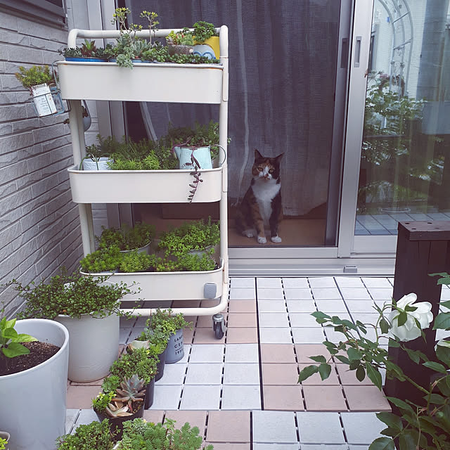 aiさんの実例写真