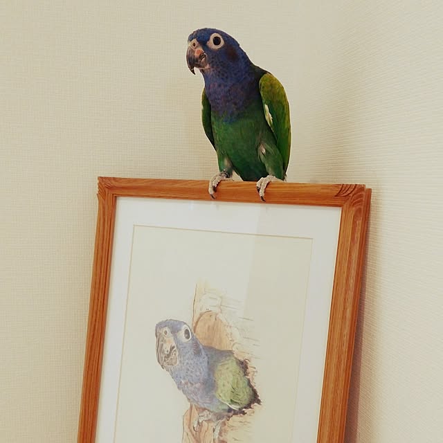bonoさんの実例写真