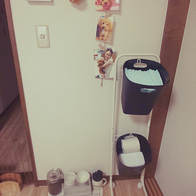 santamamaさんの実例写真