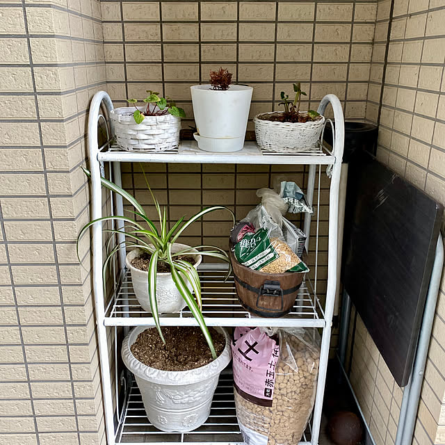 YuuKoさんの部屋