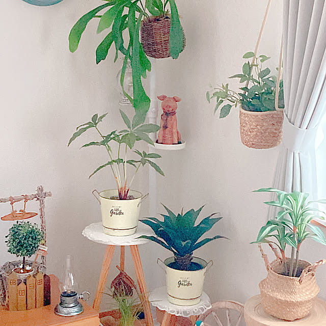 Hanakaさんの部屋