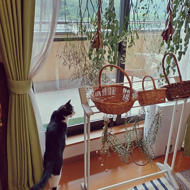 anzuさんの実例写真